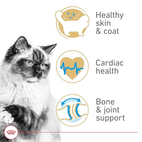 Royal Canin Feline Breed Nutrition Ragdoll Adult Dry Cat Food, 7 lb Bag