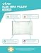 Memory Foam Pillow by VIVE - Therapeutic Pillow Made with Shredded Memory Foam - Aloe Vera Pillow Cover for Added Comfort - Queen Sized - Lifetime Guarantee