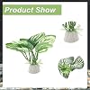 Aquarium Plastic Plants, Silk Aquarium Plants, Silk Plants for Betta Fish Tank, Plastic Plant Decor for Aquarium, Green, Pointed Leaves, 4pcs