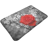 Photo Gallery 321 tappeto ingresso fiore rosso tappeto entrata casa divertenti zerbino ultraresistente tappeto 40x60cm per bagno, ingresso, corridoio Photo Gallery 321 tappeto ingresso fiore rosso tappeto entrata casa divertenti zerbino ultraresistente tappeto 40x60cm per bagno, ingresso, corridoio