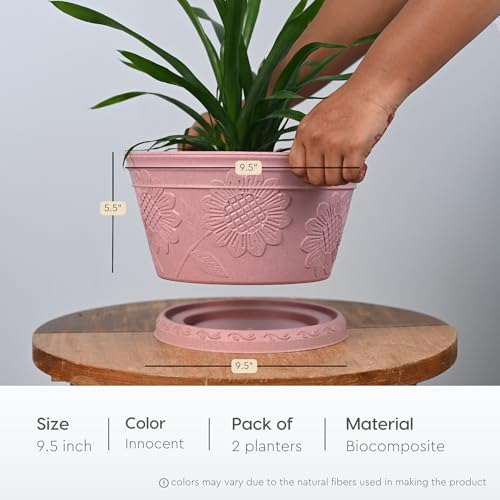 Image of Eha Earth Friendly Nile Planter 9.5 inch Planters for Home Decor| Bamboo Based Plant Pot | Pack of 2 | UV Protected Pot for Plant | Flower Pot for Living Room, for Outdoor and Indoor | Innocent