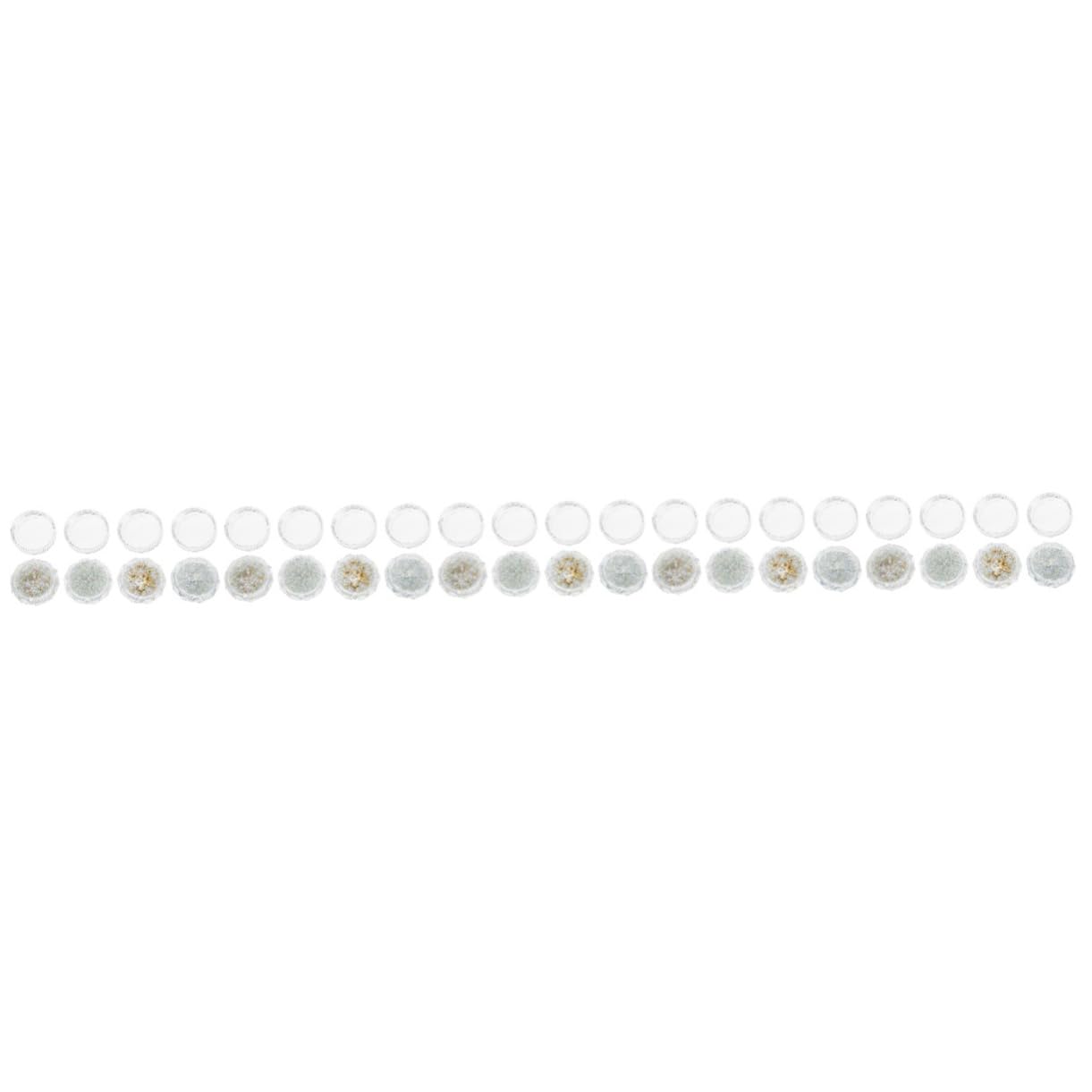 FRCOLOR 20 Scatole perle di diverse dimensioni perla per unghie perline di perle bianche decorazioni unghie vestiletto matrimoniale arredamento Home decor perla decorativa manicure