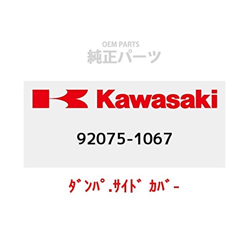 Amazon.com: KAWASAKI Genuine Parts (OEM) Damper Side Cover