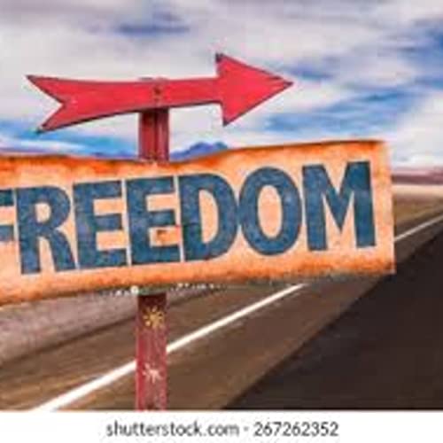 radio UNLEASHED #1459 - Let Freedom Ring