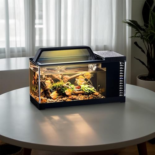 Kit de surveillance de la température pour aquarium betta sans eau trouble