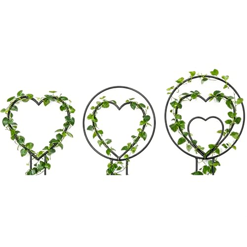 Misaakoeq Tutor para Plantas de Interior - 3 Piezas Soporte Metálico para Viñas,Tutor Metálico para Macetas - para Hogar Jardin Interior Exterior Facil Montaje Ocasiones Especiales Vegetales Flores