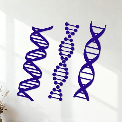 Adesivi con incisioni di pregio DNA Genealogia Biologia Chimica Scuola Scienze Classe 34x38.3cm Personalizzazione personalizzata Blu scuro