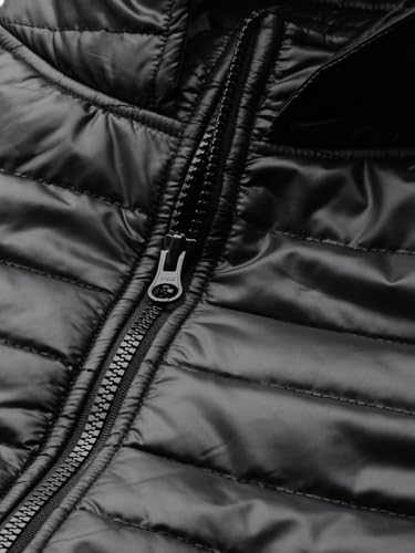 Image of sassafras Womens Jacket
