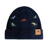 XIAOHAWANG Knit Toddler Beanies Girls Boys Cute Kids Winter Hat Infant Dinosaur Baby Beanie Hats (as1, Age, 6_Months, 24_Months, A-Navy)