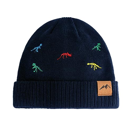 Image of XIAOHAWANG Knit Toddler Beanies Girls Boys Cute Kids Winter Hat Infant Dinosaur Baby Beanie Hats