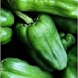 Padron Hot Peppers Seeds (20+ Seeds) | Non GMO | Vegetable Fruit Herb Flower Seeds for Planting | Home Garden Greenhouse Pack