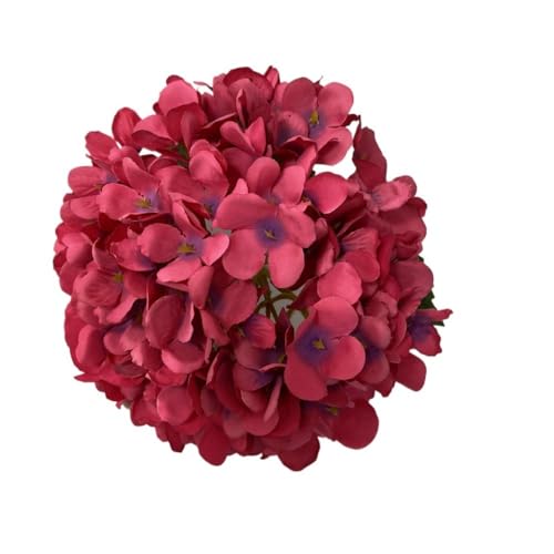 ւ̃AWTCAEFfBOAWTCAԁAʐ^BepAiAtFCNO[AAzԁA ([Ybh)