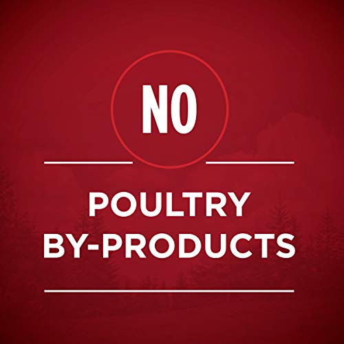 Purina ONE Wet Dog Food True Instinct Classic Ground Grain-Free Formula With Real Beef and Wild Caught Salmon High… - Image 5