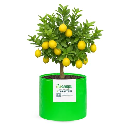 Image of HDPE Grow Bags for Plants 18X15 Inch (Pack of 1) | 260 GSM Heavy Duty UV-Protected Round Green Colour Plant Bags for Terrace and Vegetable Gardening | Strong & Reusable|