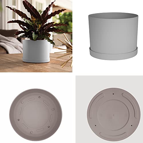 Bloem Mat08907 Mathers Planter W/Saucer Tray-8" Cement Gray Garden Plater, White #TOP2