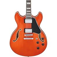 Semi Hollow-Modelle Halb-Akustik Gitarren Gitarren We emphasise a balanced combination of careful workmanship and selected materials. OUR GOAL - Your satisfaction is our top priority and takes centre stage.