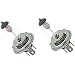 OCTANE LIGHTING 6 Volt Halogen Headlight Headlamp Clear Glass Light Lamp Bulbs 35/35W Pair H4 6V