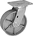 ICONCASTERWHEEL 6