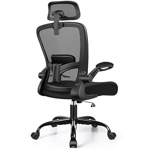 FelixKing Ergonomic Office Chair, Headrest Desk Chair with Adjustable Lumbar Support, Home Office Swivel Task Chair with High Back and Armrest, Adjustable Height Gaming Chair(Black)