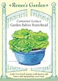 Lettuce - Garden Babies Butterhead