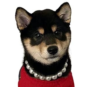 Exquisite and Adjustable Dog Necklace Elegant Pearl Necklace for Dogs Occasions and Gatherings 13145 Inches  Cucciolini Doodles Exquisite and adjustable dog necklace elegant pearl necklace for dogs occasions and gatherings 13 14 5 inches   cucciolini doodles