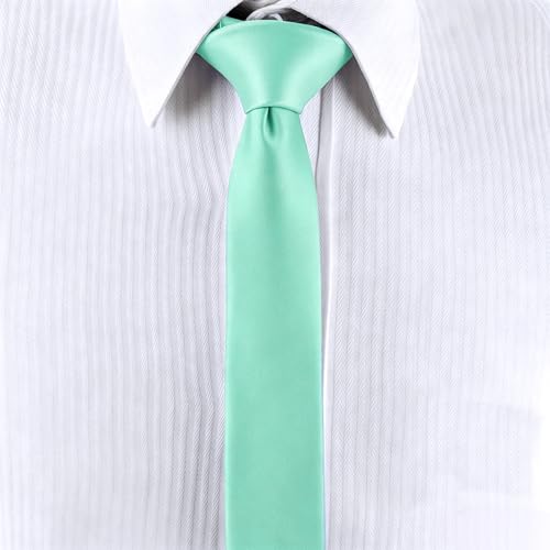 Image of Landisun Black Tie Men Women Solid Skinny Ties Slim Ties Satin Tie