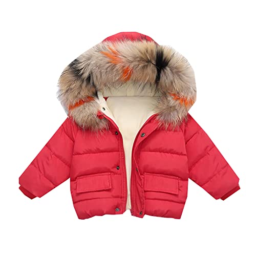 Kids Casual Snowsuit Toddler Girls Boys Children Winter Long Sleeve Wool Collar Cotton Coat Jacket For Babys