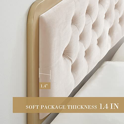 Alkmaar Golden Queen Size Bed Frame,Upholstered Bed Frame With Button Tufted Headboard,Heavy Duty Metal Easy Assembly,No Box Spring Needed (Beige, Queen) #TOP3
