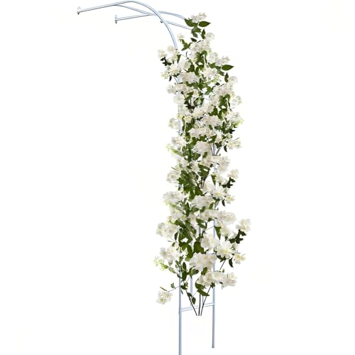 Arche de Jardin pour Plantes grimpantes, Robuste Arche à rosiers, Treillis en métal Demi Arc Tonnelle de Jardin résistante aux intempéries pour rosiers, vignes de glycine 2.4M H(White,2MX2.4M H)