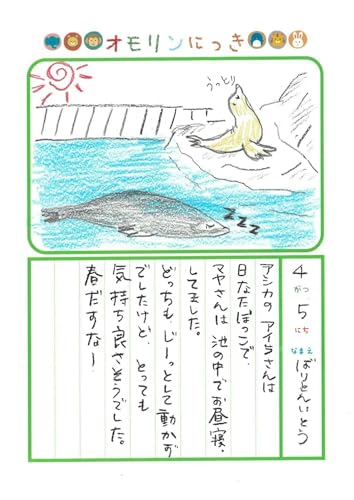 2026年4月5日「アシカさんをみできましたよ」