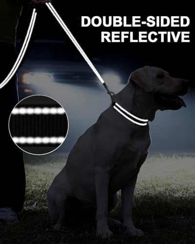 Taglory Hundeleine Mittelgroße Große Hunde Leicht | Doppelseitig Reflektierend | Gepolsterter Griff | Unterstützung 10 bis 75 kg | 1.8m x 2.5cm | Schwarz