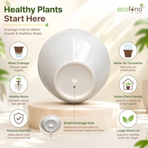 Image of ecofynd 5.1 Inch Ceramic Plant Pots with Drainage Hole, Modern Decorative Clay Flower Pots for Indoor Plants, Decorative Tabletop Planters for Home, Office, Living Room, Bedroom & Shelf (CPOT047-WHT)