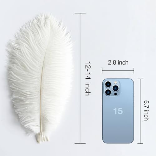 Plumes d'autruche blanches pour centres de table volumineux sans défaut - 3