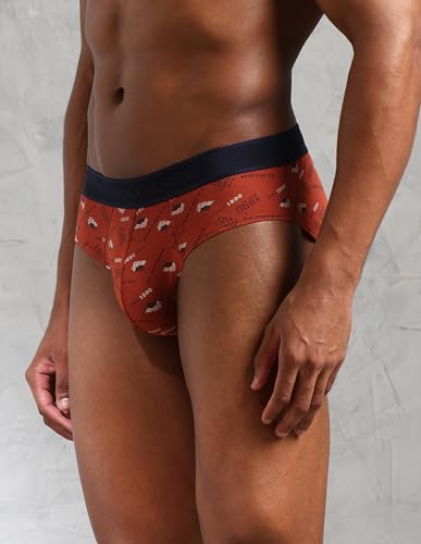 Image of U.S. Polo ASSN. Mens OEB16 Low Rise Printed Underwear Briefs - Pack of 3