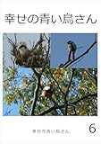 幸せの青い鳥さん　6