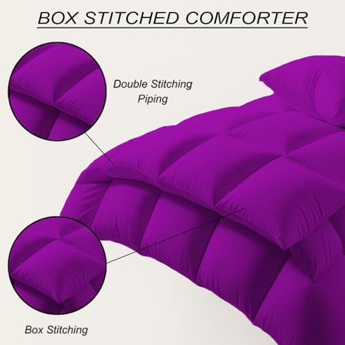 Image of Emperor Size Comforter Set - All Season Down Alternative Bedding Comforter Set - Quilted Duvet Insert with Corner Tabs - Box Stitched Blanket - Breathable, Soft - Purple