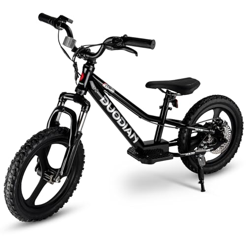 Kids Electric Bike - 250W Motor, 13.7 MPH, 36V 5.2Ah,