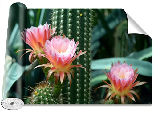 Papier Peint Cactus fleuri Grand Format 208x146cm Tulup Moderne