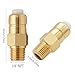 2 Pieces Thermal Release Valve for Pressure Washer Pump, 1/4 Inch NPT Thermal Relief Valve, Replacement Pump Protector 678169004, 678169002 and 678169001, 208673GS, 21783GS, 194298GS and B3090GS (2)