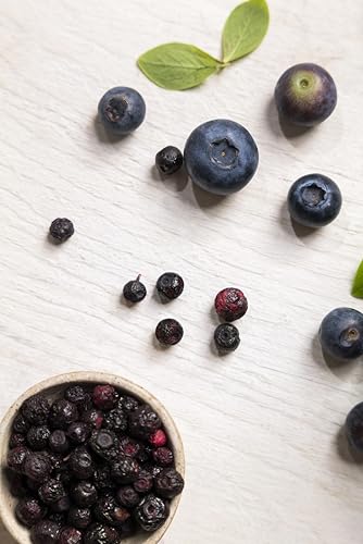 Seeberger Gefriergetrocknete Blaubeeren, 15g – Bild 6