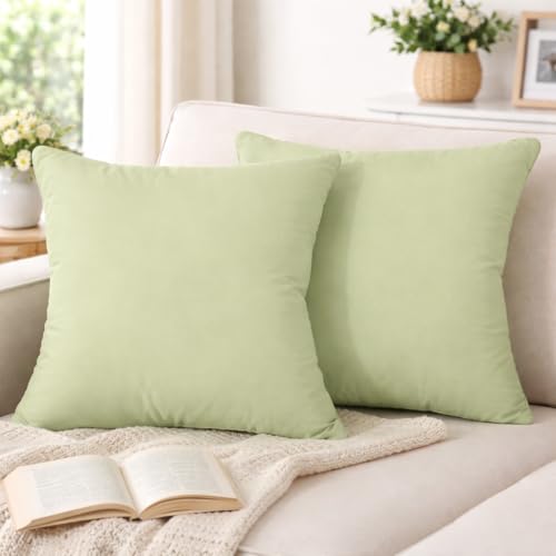 Image of Premium Polyester Fiber Cushion Fillers - Pack of 2 Pcs | 12 x 12 Inches | Sage| Cushions, Sofa Pillow, Cushion for Sofa, Cushion for Bed, Decorative Pillow, Pillow for Support