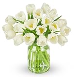 Benchmark Bouquets - 20 Stem White Tulips (Glass Vase Included) – Fresh Flowers for Delivery - Gift for Easter, Mother’s Day, Birthday, Anniversary, Sympathy, Get Well, Congratulations