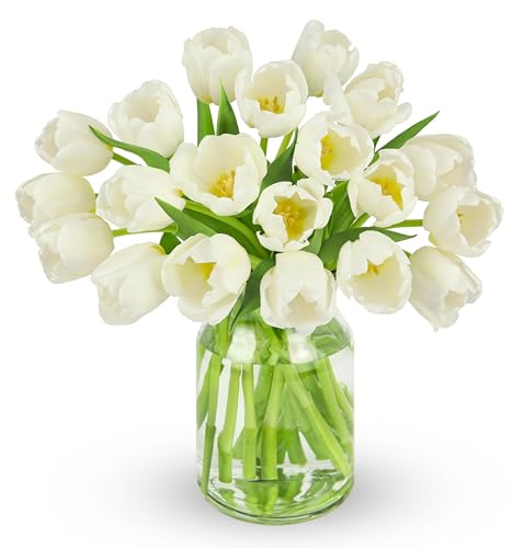 Image of Benchmark Bouquets - 20 Stem White Tulips (Glass Vase Included) - Fresh Flowers for Delivery - Gift for Graduation, Birthday, Anniversary, Sympathy, Get Well, Congratulations