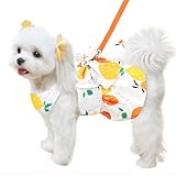 ABRRLO Cute Dog Dress Small Dog Clothes for Girls Female Puppy Outfits Yellow Lemon Pet Summer Clothes Bowknot Doggy Cat Princess Dress Harness for Holiday Birthday Party Costume Clothing (Yellow,S)