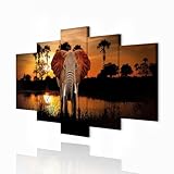 Coleurs: Haute qualité d'impression numérique. Couleurs intenses qui ne pâlissent pas même après une longue exposition au soleil. Un tel tableau vous garantira l'effet décoratif unique.