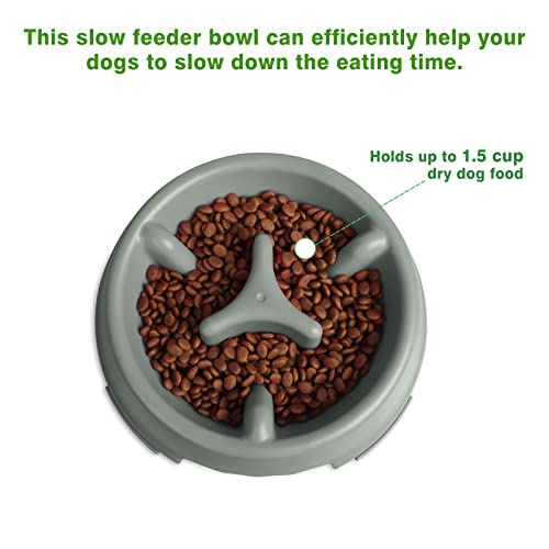 Winsee Slow Feeder Dog Bowl 1.5 Cup With 15 Oz Collapsible Dog Bowl,Puzzle Dogs Feeding Bowls,Anti-Gulping Slow Eating Dog Food Water Dish #TOP1