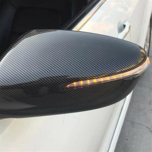 Rénover rétroviseur cassé Suzuki Vitara coque carbone - 4