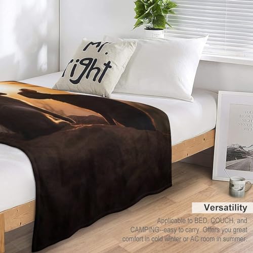 Couverture lapin douillette pour vos soirées cocooning sur le canapé