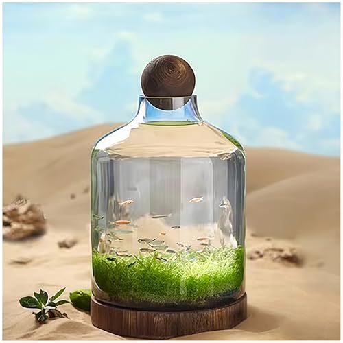 FYDN 金魚鉢 水槽ボトル 透明ガラス マイクロランドスケープ 木製トレイ 厚手エコボトル ランドスケープ魚鉢 水耕栽培 玄関装飾 生態飼育適透明ガラス金魚鉢景観兼用 住宅用室内水槽 (D型)