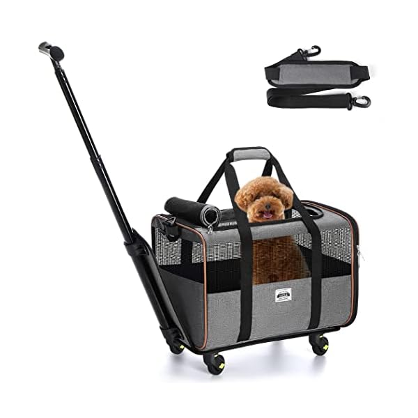 TSA Approved Pet Carrier Buy Online